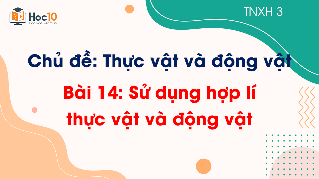 Chủ đề 4 - Bài 14 Sử dụng hợp lý thực vật và động vật
